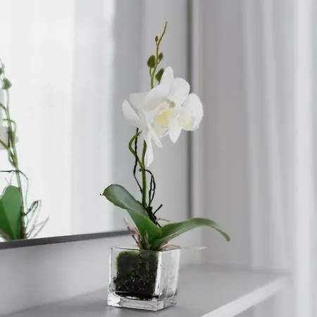 Διαμέρισμα Rajska 3 By Renters *