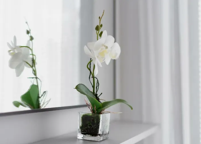 Апартаменты Rajska 3 By Renters *